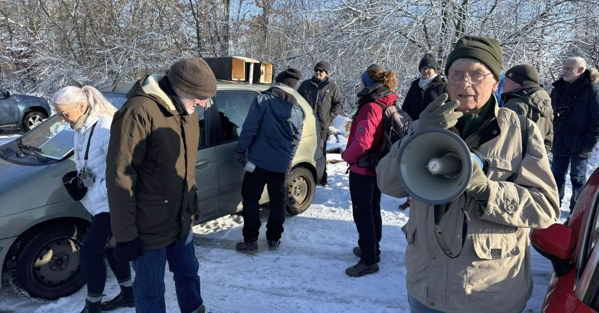 Wanderung-durch-Wirbelau-Entdeckung-der-Marmor-Geschichte