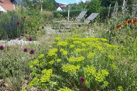 Der naturnahe Garten in Villmar lockt viele Insekten und weitere Tiere an. 