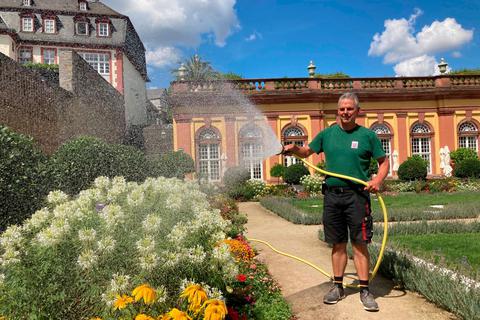 Hans-Peter Schmidt, der stellvertretende Leiter des Schlossgartens Weilburg, bewässert die Blumenbeete in der Unteren Orangerie per Hand, um kein Wasser zu verschwenden. Foto: Agathe Markiewicz 