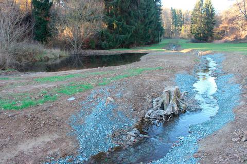 Die Renaturierung hat dem Möttbach neue Strukturen verliehen. Deutlich sind die Profilaufweitung, eingebautes Totholz und Geschiebe sowie der Uferbereich mit neu angelegtem Gewässer zu erkennen.  Foto: Dorothee Henche 