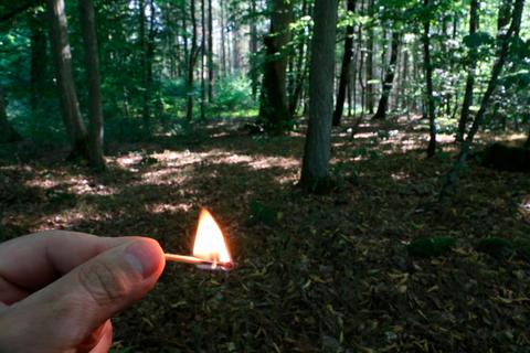 Vorsicht Waldbrandgefahr: Ein weggeworfenes Streichholz kann auf dem trochenen Waldboden ein Feuer entfachen.  Foto: Jürgen Vetter 