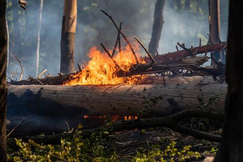 Um Waldbrände wie hier im Taunus zu vermeiden, gibt die Gefahrenabwehr des Lahn-Dill-Kreises wichtige Hinweise.