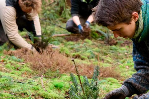 Beitrag für einen gesunden Zukunftswald: Freiwillige pflanzen Bäume.  Foto: Matthaeus Holleschovsky 