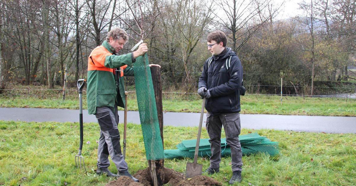 BUND Biedenkopf plants heat-loving fruit varieties in a traditional ...
