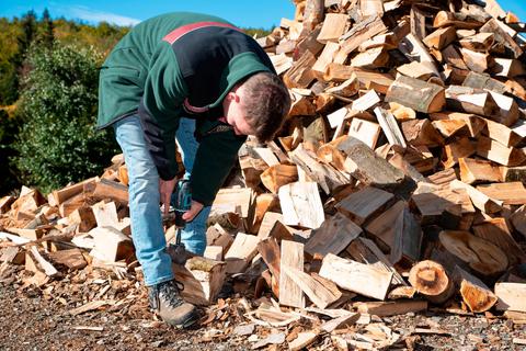 Forstreferendar Sebastian Kögel bohrt ein Loch in ein Holzscheit, um den GPS-Sender darin zu verstecken.  Foto: Mark Adel 