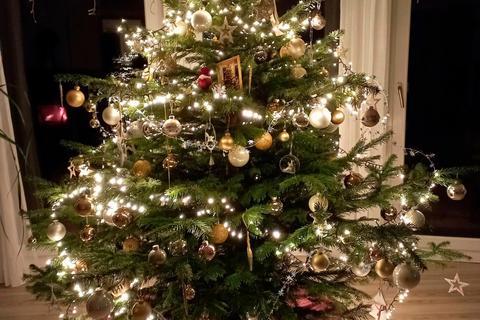 Ein geschmückter Weihnachtsbaum gehört zum Fest dazu. Seit dem vergangenen Wochenende können diese wieder an vielen Stellen im Hinterland gekauft werden. Foto: Sascha Valentin 
