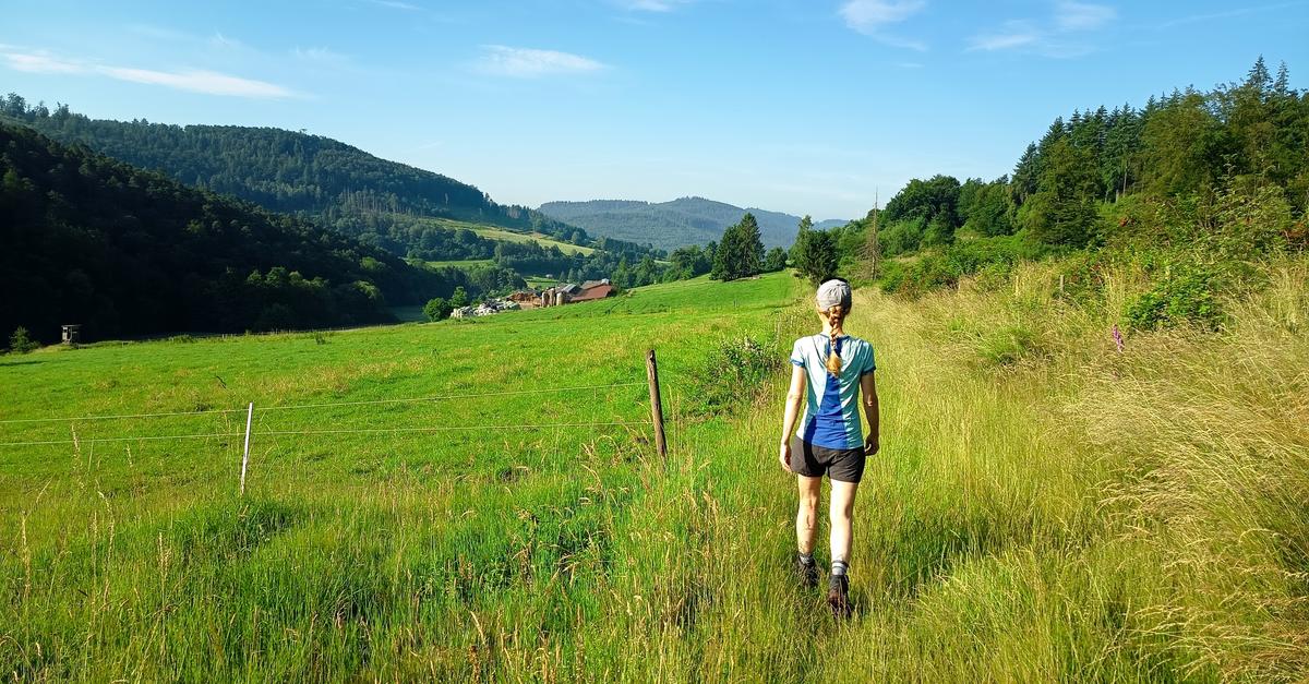 We hike up to the Breidenbach Jubilee Tower