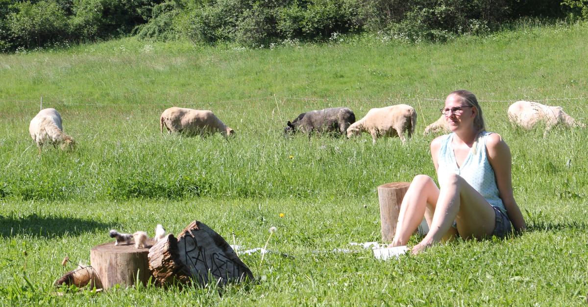 Was-Schafe-Religion-und-Kitas-gemeinsam-haben