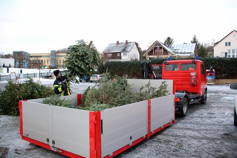 Mit ihrem Wechsellader transportiert die Feuerwehr die angelieferten Weihnachtsbäume in Gladenbacher schließlich zur Entsorgungsstelle.  Foto: Sascha Valentin 