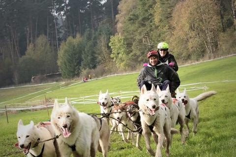 Auf vielen Pfoten unterwegs: Tierärztin Caren Seel und ihr Mann Peter steuern das Hundegespann.