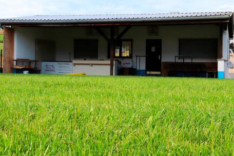 Der neue Rasen auf dem Sportplatz in Sinkershausen wächst gut: Vielleicht werden die Fußballer des SSV Allna-Ohetal noch in diesem Jahr ein Spiel auf dem Platz austragen.  Foto: Michael Tietz 