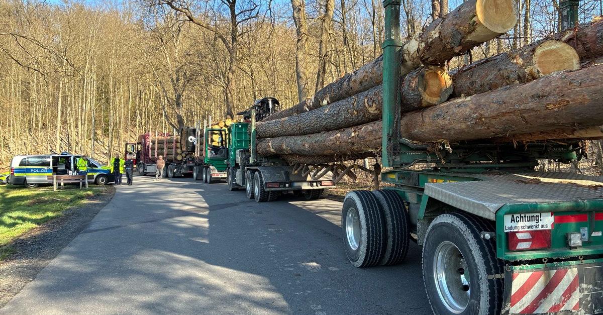 Pulled off the road: Timber truck massively overloaded near Münchhausen