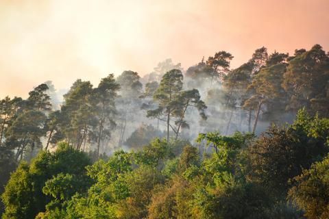 Dichter Rauch hatte sich bereits am späten Nachmittag über das gesamte Gebiet gelegt.  Foto: Ina Tannert 