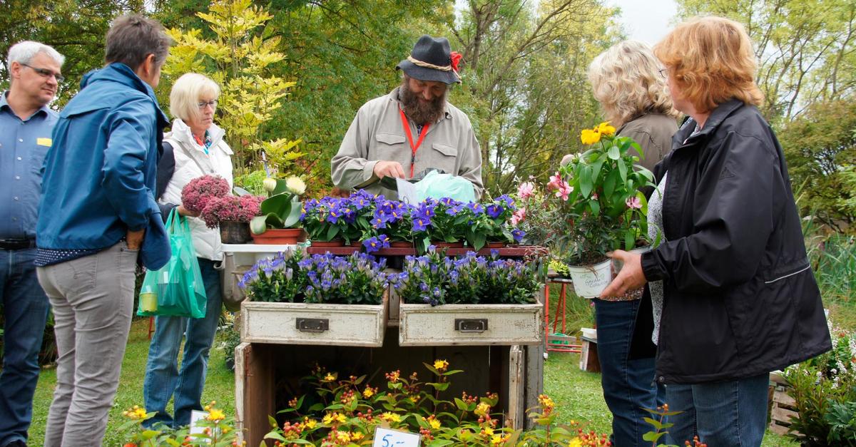 Pflanzenmarkt im Botanischen Garten