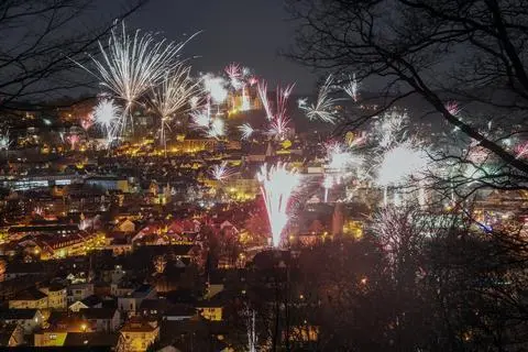 So kommen Mensch und Tier gesund durch die Silvesternacht
