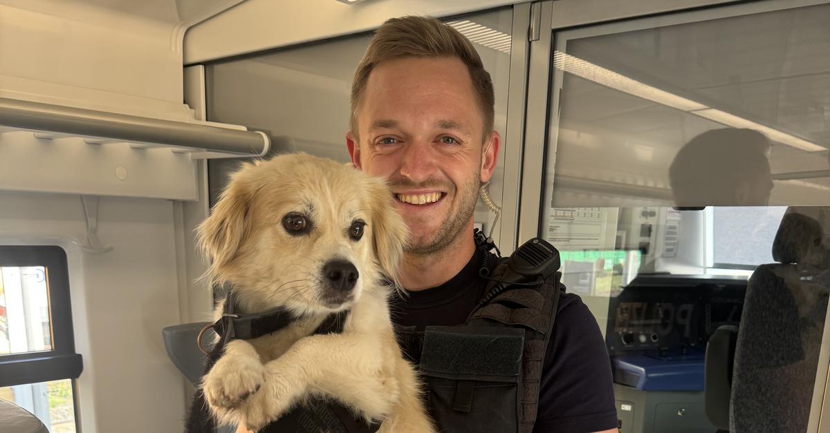 Runaway dog ​​on train: Federal police patiently catch the stray animal