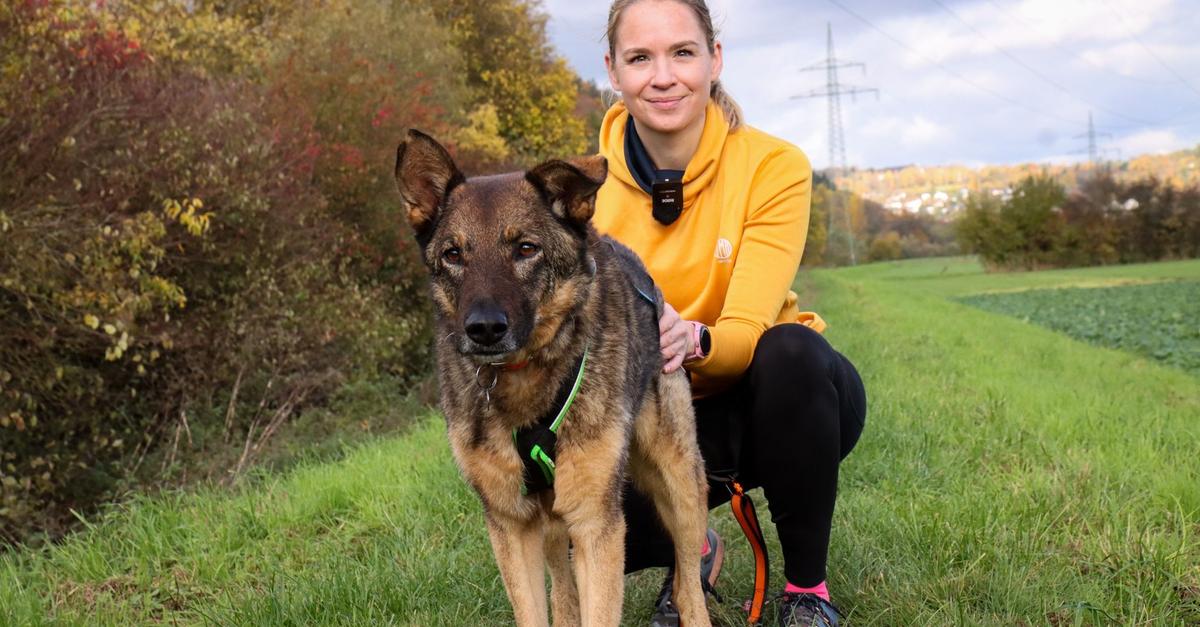 Der-Hund-und-das-Marburger-Stadtleben