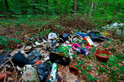 Dass Menschen ihren Müll illegal im Wald entsorgen, ist ein leider weitverbreitetes Phänomen.  Symbolfoto: Patrick Pleul/dpa 