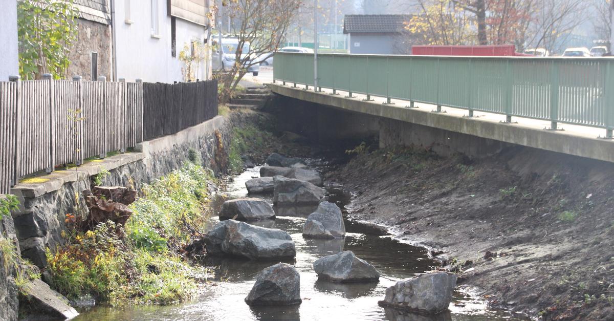 Waren-die-Schildb-rger-aktiv-in-Eisenhausen-