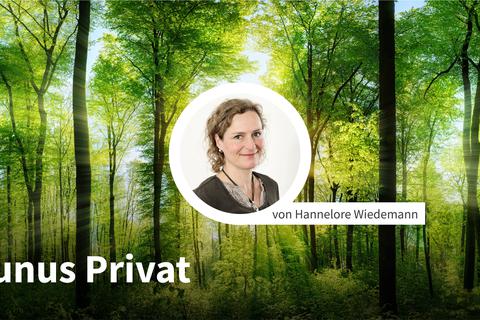 Taunus Privat von Hannelore Wiedemann