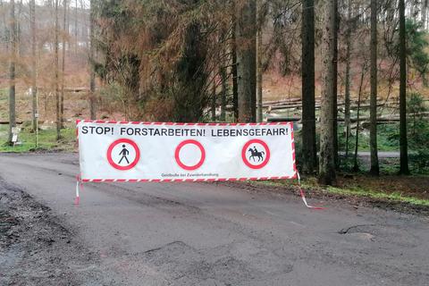 Die Zufahrt zum Wanderparkplatz ist gesperrt, hier werden in den kommenden Wochen umfangreiche Holzeinschlagsarbeiten durchgeführt. Foto: Gemeinde Burbach 