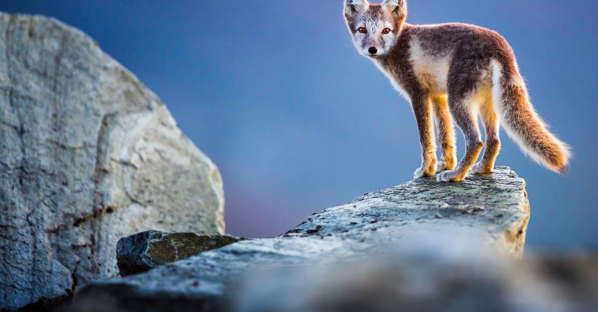 Vortrag-ber-Skandinavien-im-Burbacher-Heimhof-Theater-sehen
