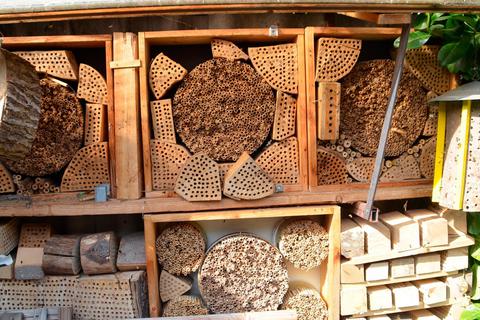 Mehr als 6000 Löcher und damit jede Menge Platz bietet das Bienenhotel von Heinz Kunz im eigenen Garten. Foto: Manuela Jung 