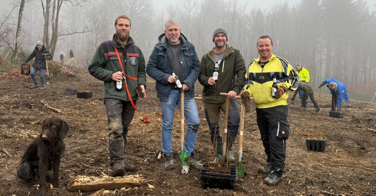 50-Helfer-pflanzen-in-Wilsbach-einen-neuen-Wald