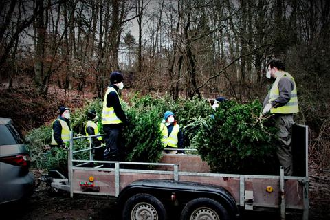 In diesem Jahr sammelt die Bonbadener Einsatzabteilung die ausgedienten Weihnachtsbäume ein. Foto: Siegbert Bender 