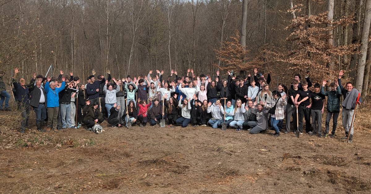 Hands-on Climate Protection: Students Reforest a Forest