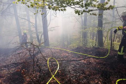 Am Rande des Donsbacher Wildparks brannten mehrerer hundert Quadratmeter Wald. Foto: Jörg Fritsch  