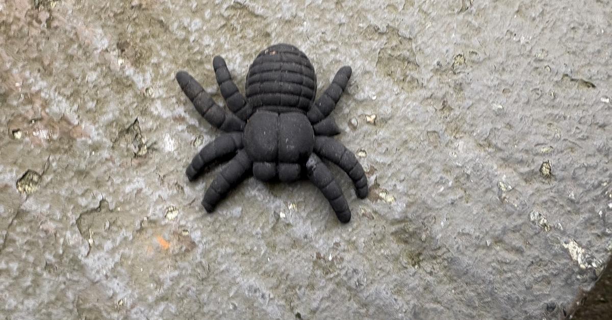 Moment-mal-Konfrontation-hat-Grenzen