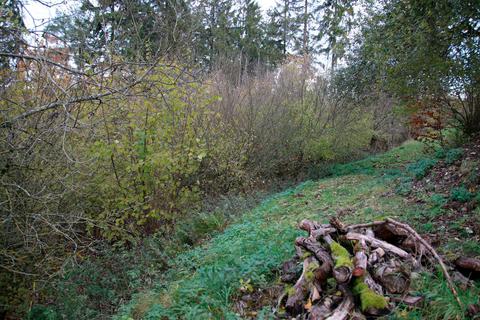 Nördlich des Fußballplatzes des SSV Donsbach sollen zwei Waldstücke umgestaltet und in das Naturschutzgebiet "Hasel bei Donsbach" eingebunden werden.  Foto: Frank Rademacher 