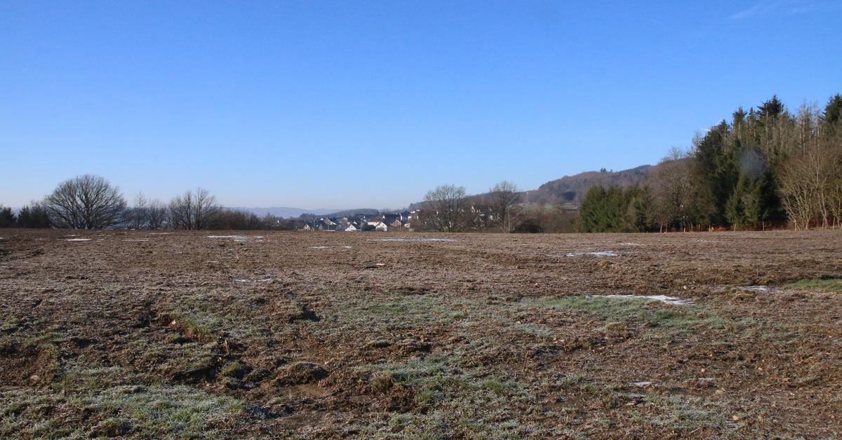 Bretthauer plant eigenen Solarpark in Frohnhausen