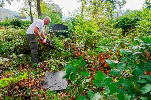 Über und über von Grünzeug überwachsen: Manchmal hilft nur noch der Einsatz von "schwerem Gerät", um der wuchernden Pflanzen Herr zu werden. Foto: Katrin Weber 