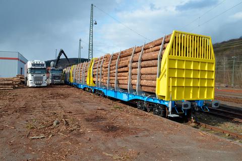 Am Dillenburger Güterbahnhof wird derzeit viel Borkenkäferholz von Lastwagen auf Züge umgeladen. Dabei kommen auch neue Wagen zum Einsatz, deren Rungen drei Meter hoch sind und mit denen die Fichtenstämme ohne zusätzliche Sicherung transportiert werden können.  Foto: Oliver Dietz 