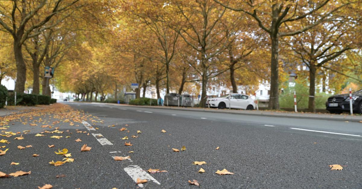 Ab Oktober hat die Stadt Dillenburg keinen Klimaschutzmanager mehr