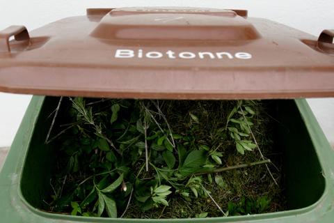 Die Gemeindeverwaltung weist darauf hin, dass Grünschnitt auch in der Biotonne entsorgt werden kann. Symbolbild: dpa 