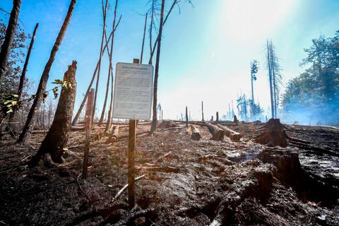 Zerstörte Landschaft nach dem großen Brand: Das Naturwaldreservat zwischen Frohnhausen und dem Roßbachtal soll nicht aufgeforstet werden.  Foto: Katrin Weber 