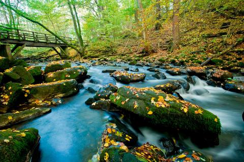 Bietet einen idyllischen Anblick - auch im Herbst: Die Holzbachschlucht bei Seck ist seit 1929 Naturschutzgebiet.  Foto: Dominik Ketz 