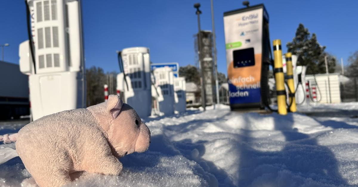 Bilderr-tsel-Wo-findet-Schweini-im-Dillkreis-Energie-