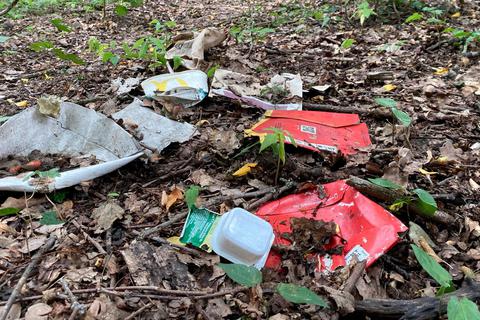 Immer wieder ein Ärgernis: achtlos in die Natur geworfener Müll. Archivfoto: Aktion Dillkind 