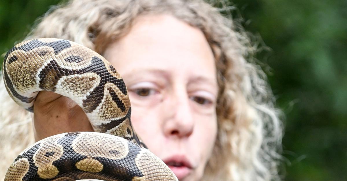 Die Tierparkentdecker suchen noch Verstärkung