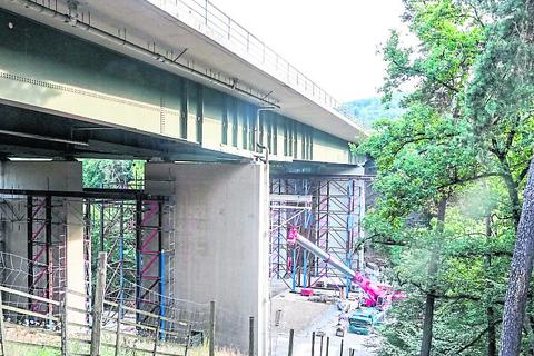 Die Kallenbach-Talbrücke der A 45 bei Herborn wird neu gebaut. Unter ihr befindet sich ein Teil des Herborner Wildgeheges. Foto: Katrin Weber