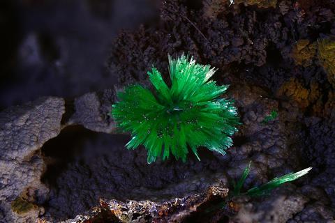 Farbenprächtiges Wunder der Natur: Ein Malachit aus der Grube Victoria in Kreuztal-Littfeld.  Foto: Mineralienfreunde Herborn  
