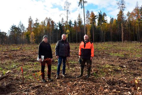 Revierförster Lutz Herbel (v. r.), Christof Heller, und Forstwirtschaftsstudentin Luci Schieferstein begutachten die frisch gepflanzten Bäume. © Gemeinde Hüttenberg
