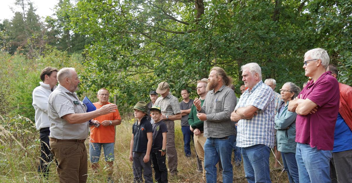 Waldwirtschaft in Hüttenberg: So steht es um Naturverjüngung und ...
