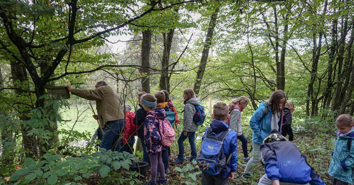 Why young Hüttenberg residents are committed to nature