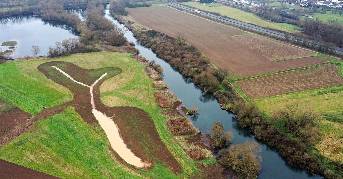 Die-Lahnaue-erh-lt-ein-Paradies-f-r-Brut-und-Zugv-gel