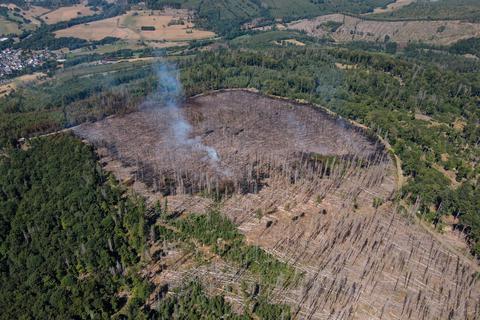 Blick aus der Luft: Als die Freiwillige Feuerwehr Dillenburg dieses Bild am Samstagnachmittag mit einer Drohne aufnahm, ging Kreisbrandinspektor Harald Stürtz von einem etwa 30 Hektar großen Waldbrand aus. Foto: Freiwillige Feuerwehr Dillenburg 